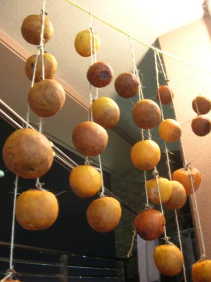 �}���V����������