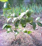 ���Y������