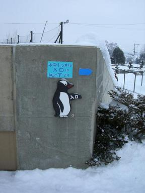 �����g���l�������͍�̉��ł�