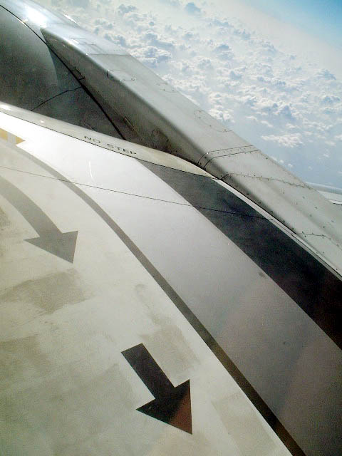 �_�̏�̖��