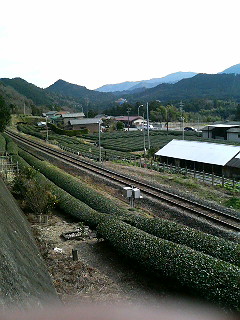 �A���Ă���