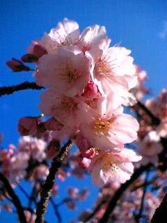 ���͍��ł��A�����I