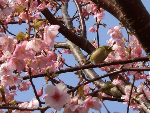 �͒Í��ƃ��W��