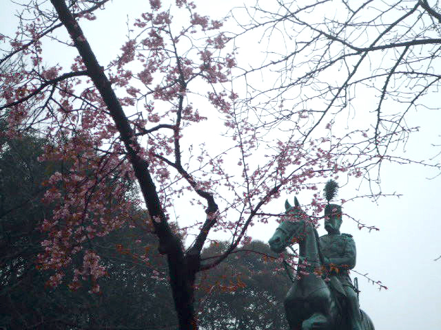 ���͂܂������ȁ�