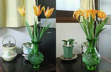 ���炵�Ȃ��`���[���b�v