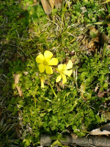 �͂����ς����C�ɁE�E�E