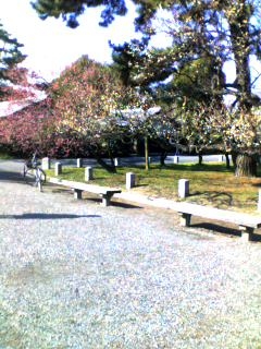 ���s�䉑�ł���