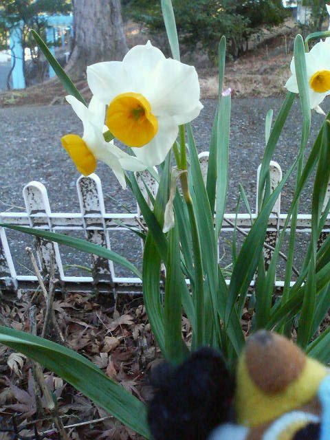 �炢�Ă���Ԃ����ꂵ���Ȃ������ł��G�G