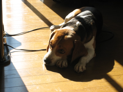 �l������