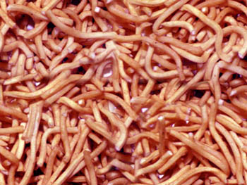 �|���|���E�E