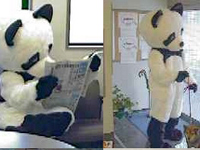 �p���_�̒��̐l�͎��ł�