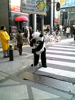 �����������B