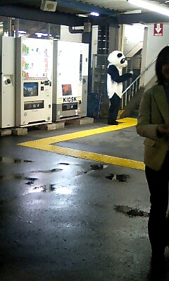 �e�B�b�V���z��