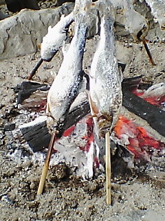 �ނ�̂͂T�������炸