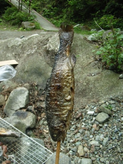 ���̋��Ă�