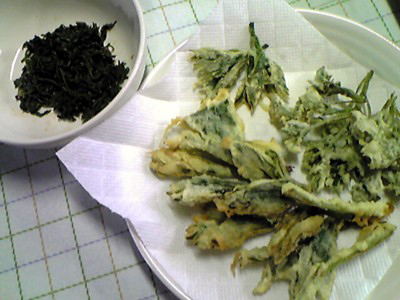 �R�؂̂Ă�Ղ�