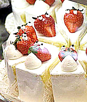 �����������V���[�g