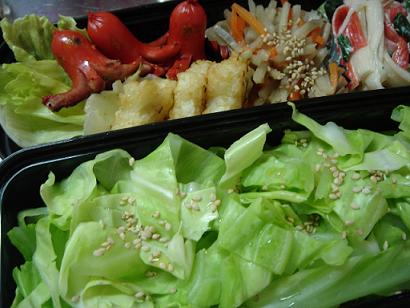 �L���x�_�C�ٓ�