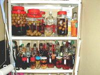 �����͔~��(�U�N����)