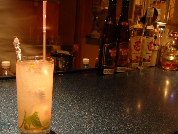 �X�L�i���m