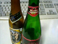 �֒f�̉ʎ��ƃt�����{���[�Y��