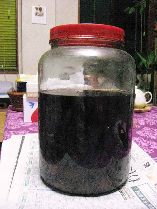 ���Ԃ�20�N����