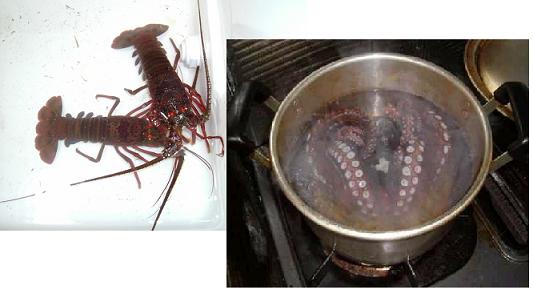 ���Y���Ƃ������̂��B