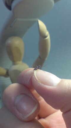 �Ă̂P�y�[�W