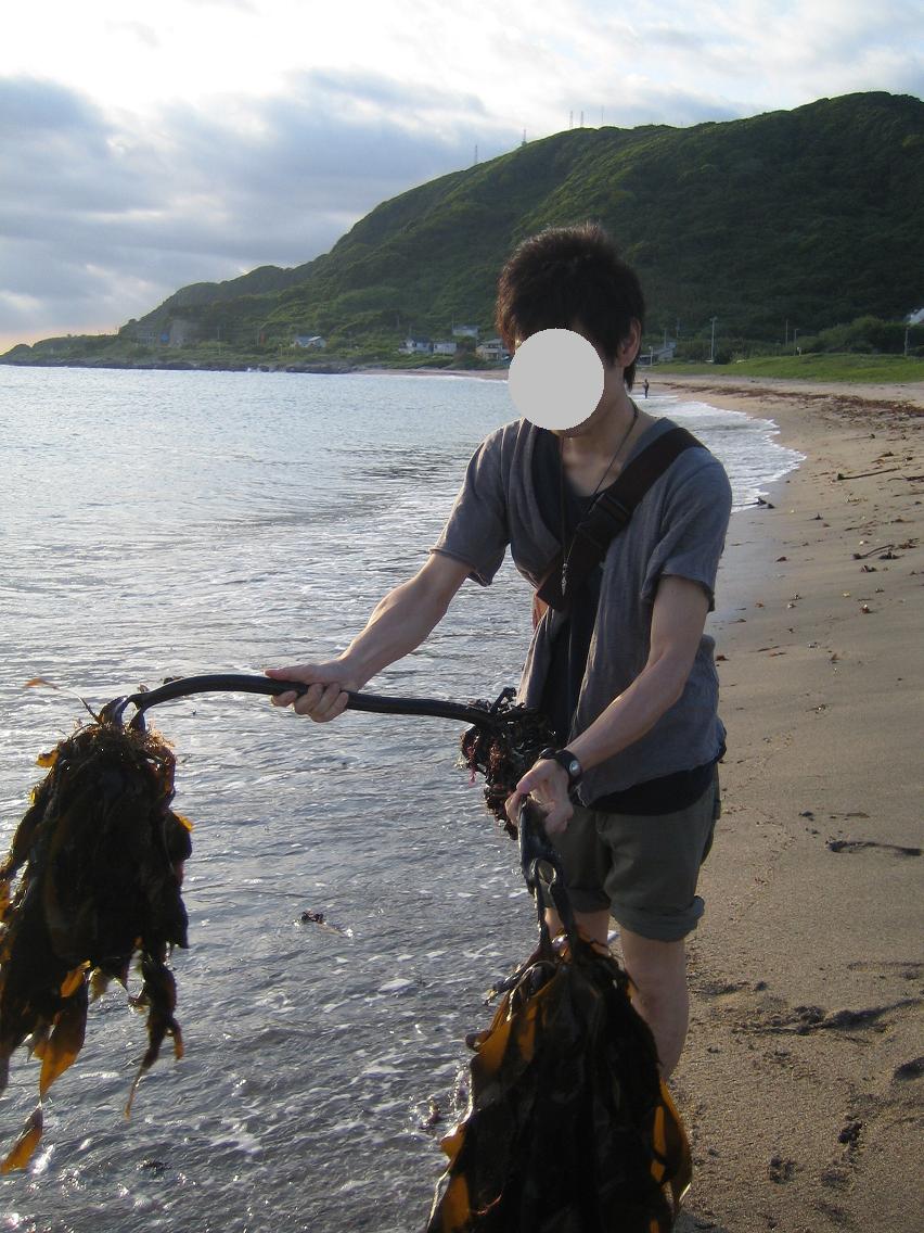 �C����̑��蕨