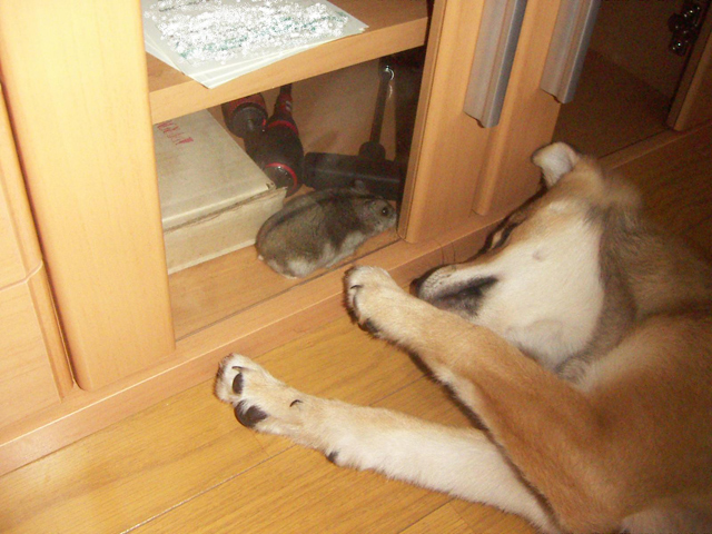 �H���A������H