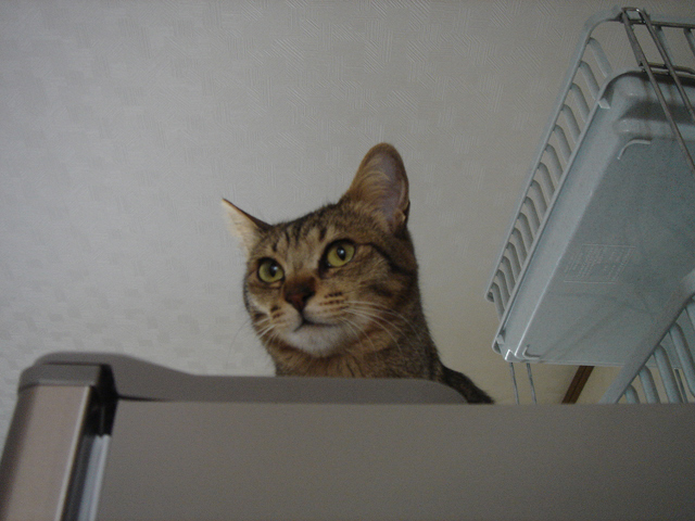 �①�ɂ͂������