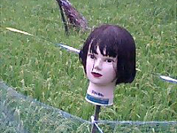 ���������Ⴂ�܂���