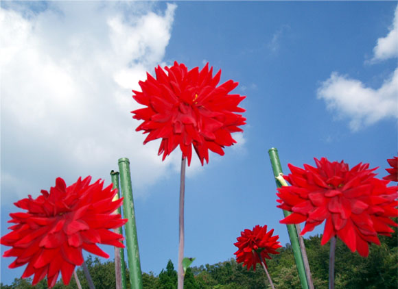 �R���g���X�g