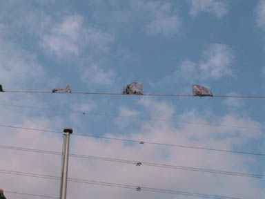 �^����̏��w�Z�̋�