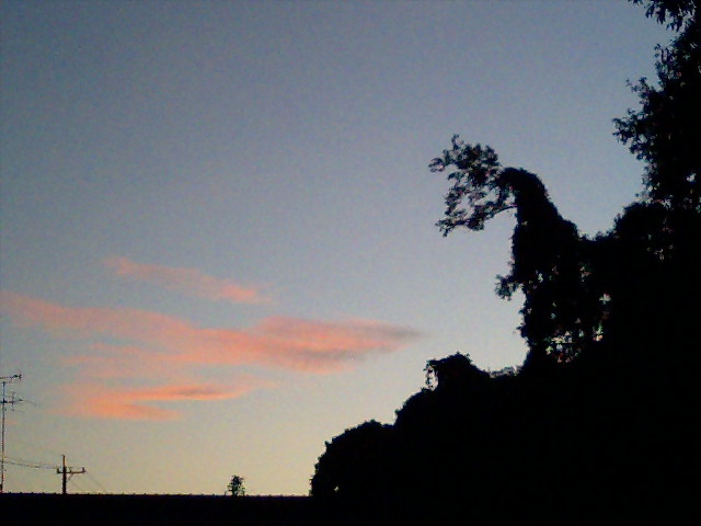 �V�����S�W���i���H