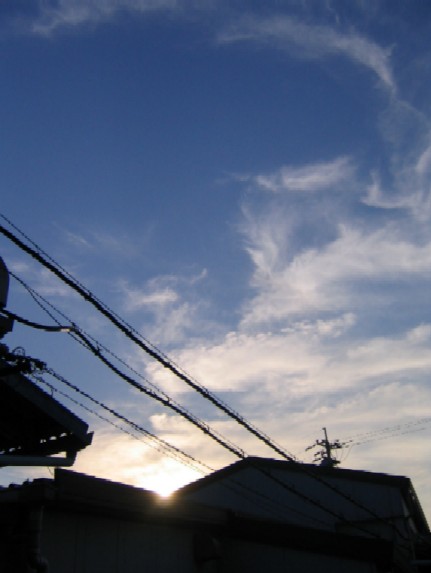 ���v���O