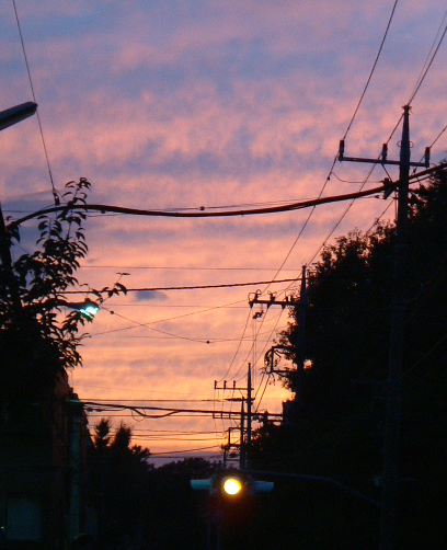 �����Ă䂭�H�̋�