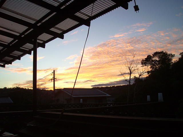 �H���ۂ��_�̒�