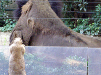 �v�����[�h�b�O������