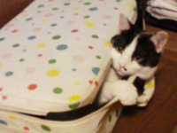 ���R���R���ו�