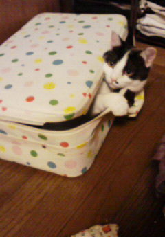 ���R���R���ו�