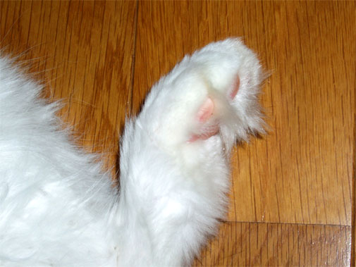 ���т���������