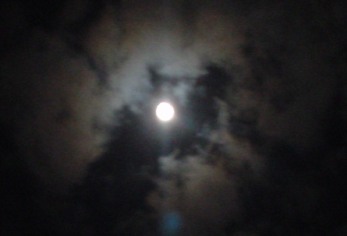 �����Ɩт������Ă�