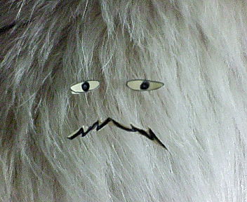 ���������]�[