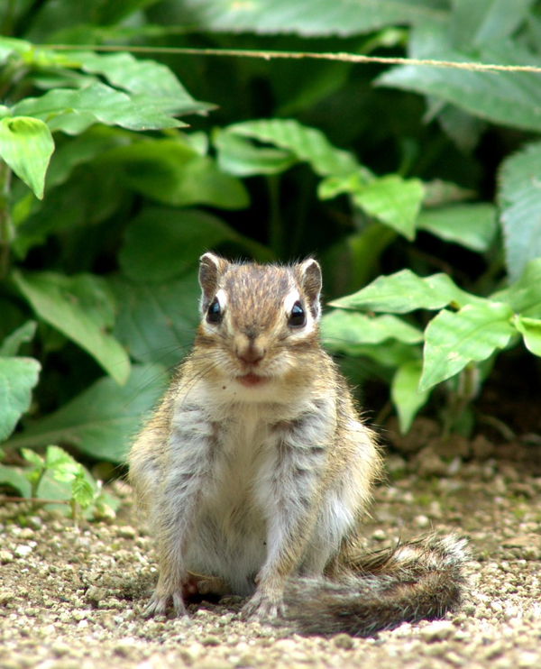 �����Ȃ��Ă鏊