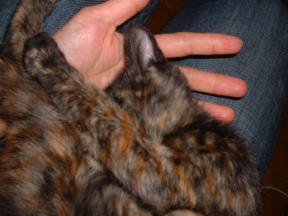 ��͌������܂���