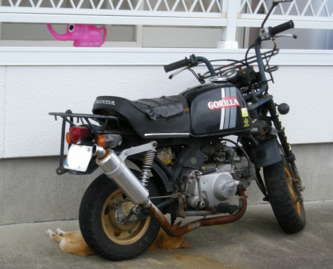 �����A����Ȃɉ����̂�