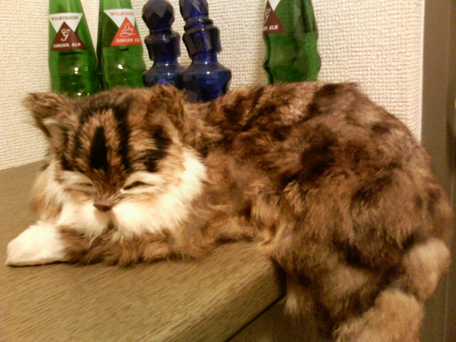 �L�̒u����