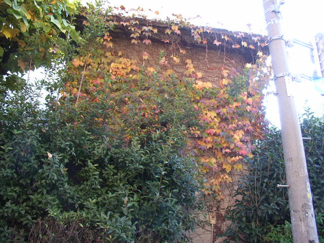 ���[�t�ƃ��b�N�E�W�����[