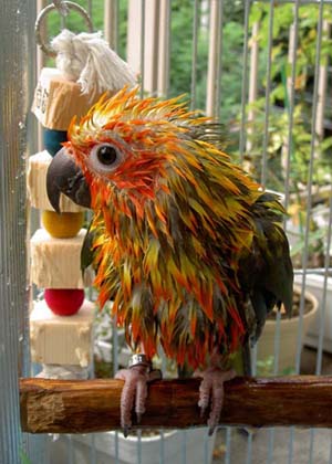 �����ь�